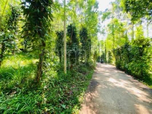 Commercial Land for Sale in Naranpanawa