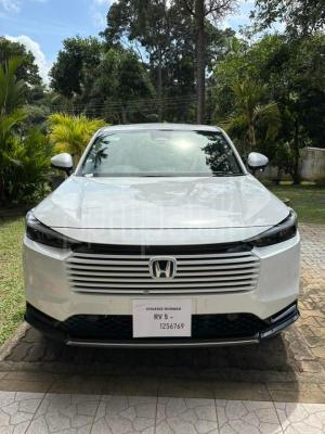 premium-listing-image