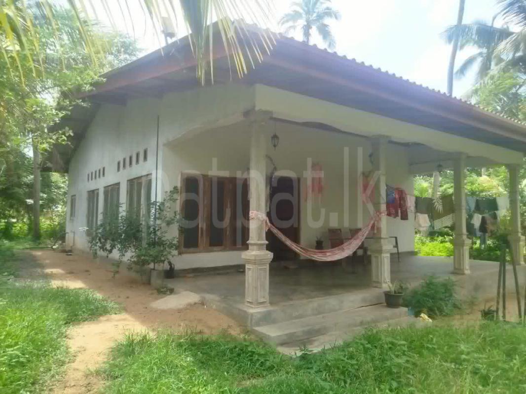 Agricultural Land for Sale in Kuliyapitiya