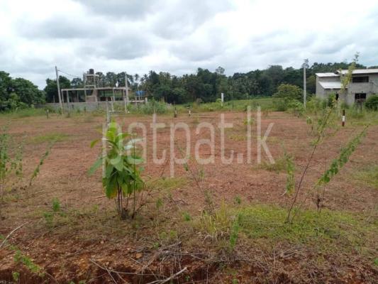 premium-listing-image