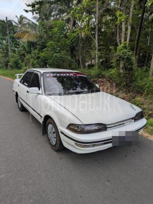 ads-image-1