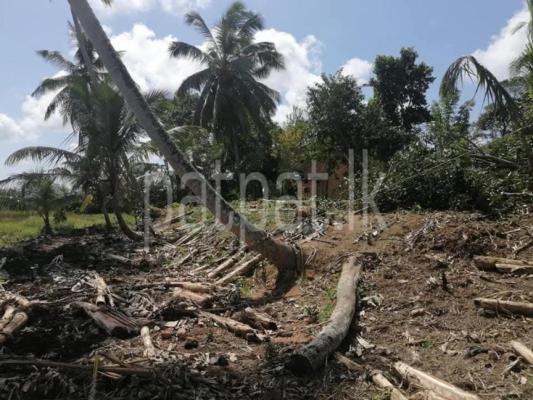 premium-listing-image