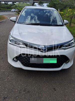 premium-listing-image