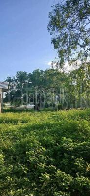 Residential Land for Sale in Tissamaharama