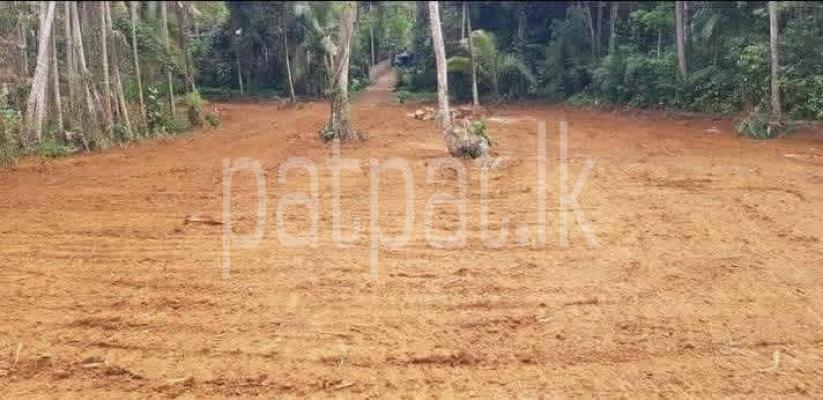 Residential Land for Sale in Gampola