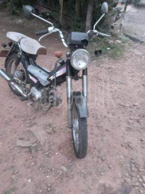 premium-listing-image