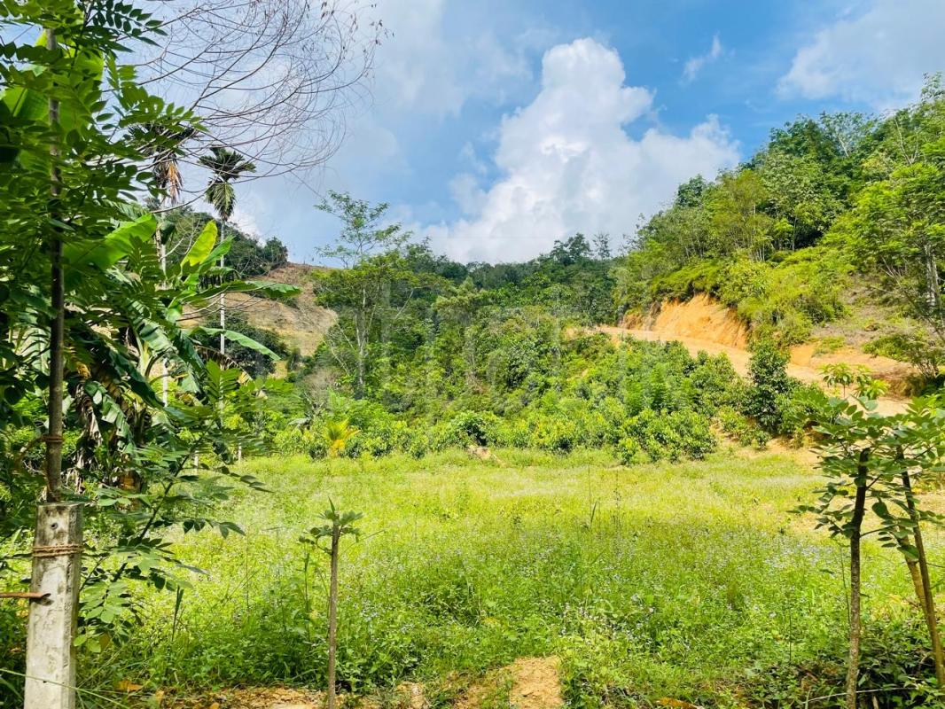 Residential Land for Sale in Makandura