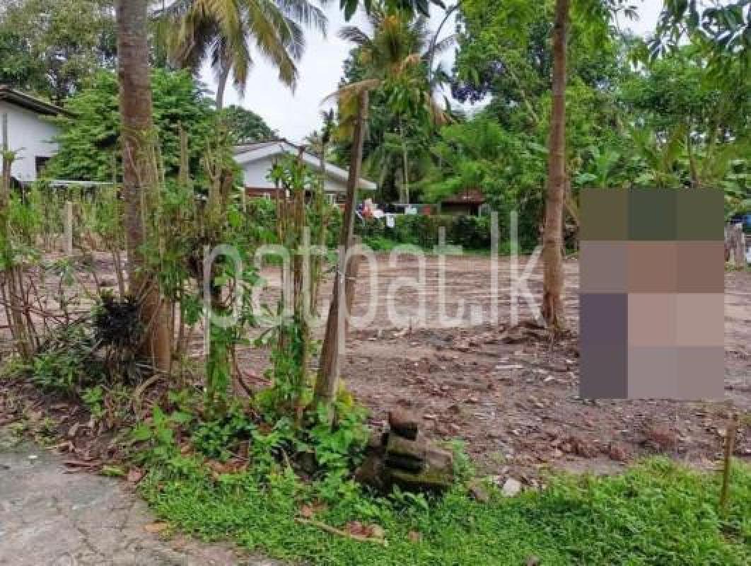 Agricultural Land for Sale in Panadura