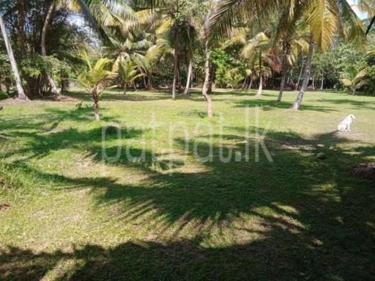 premium-listing-image