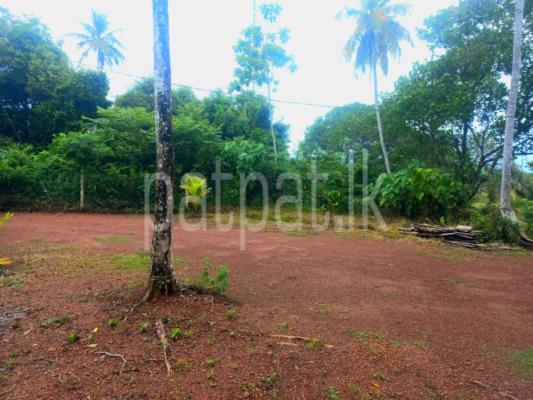 Commercial Land for Sale in Dikwella