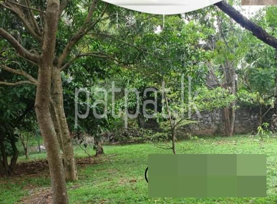 premium-listing-image