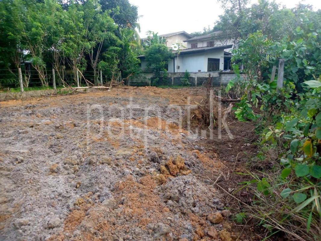 Commercial Land for Sale in Horana