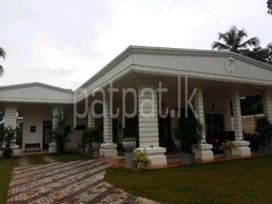 premium-listing-image