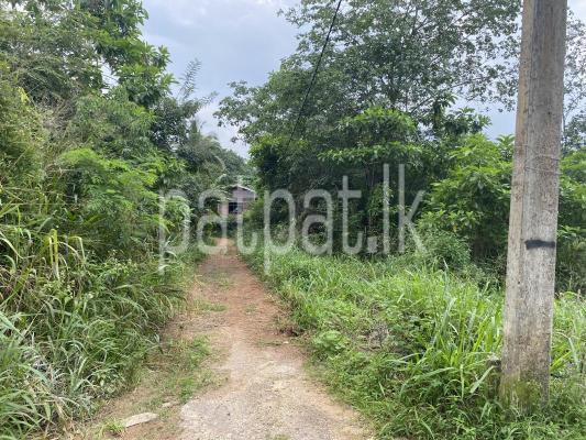 premium-listing-image