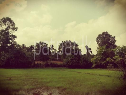 Agricultural Land for Sale in Marandagahamula