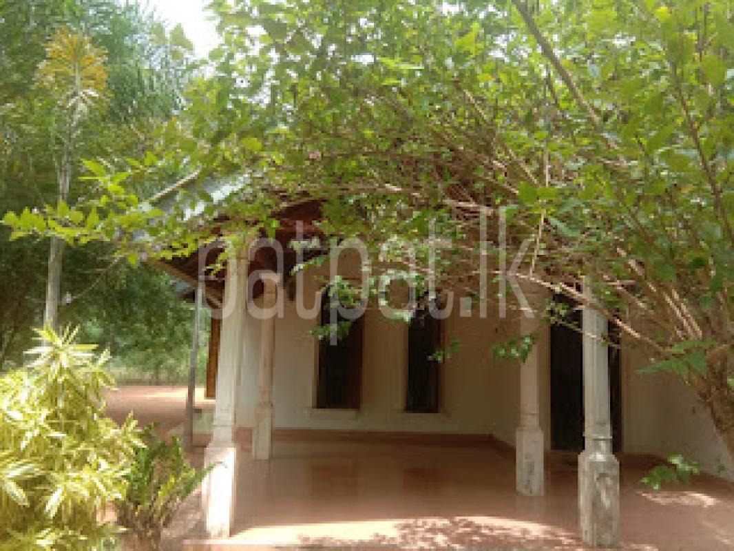 Residential Land for Sale in Anuradhapura