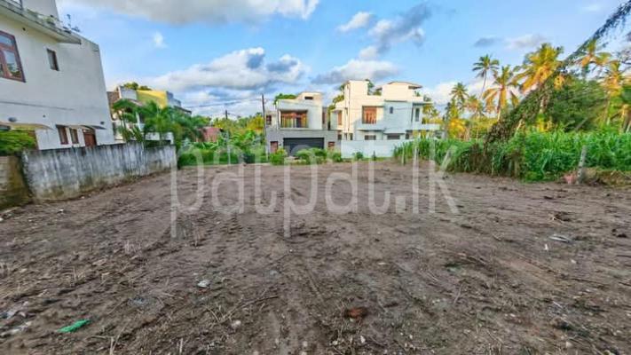 premium-listing-image