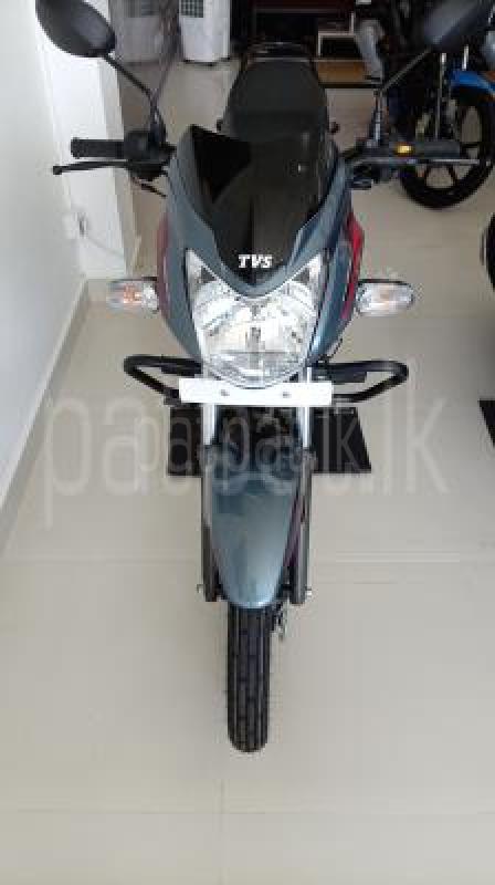 TVS Sport 110 2026 - Brand New Bike sale in Sri Lanka - patpat.lk