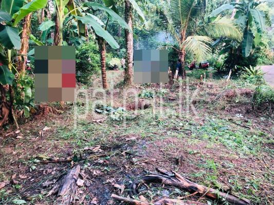 premium-listing-image