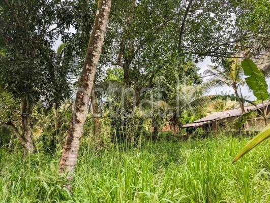 Commercial Land for Sale in Kurunegala