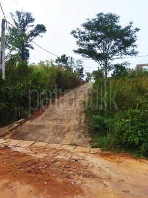 Agricultural Land for Sale in Akuressa