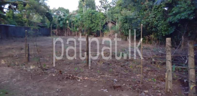 premium-listing-image