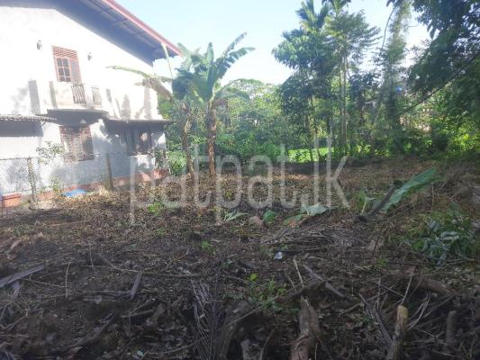 premium-listing-image