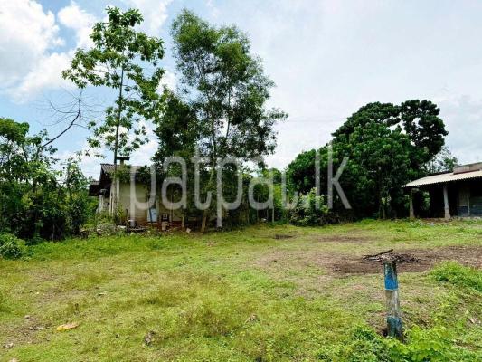Residential Land for Sale in Meepe