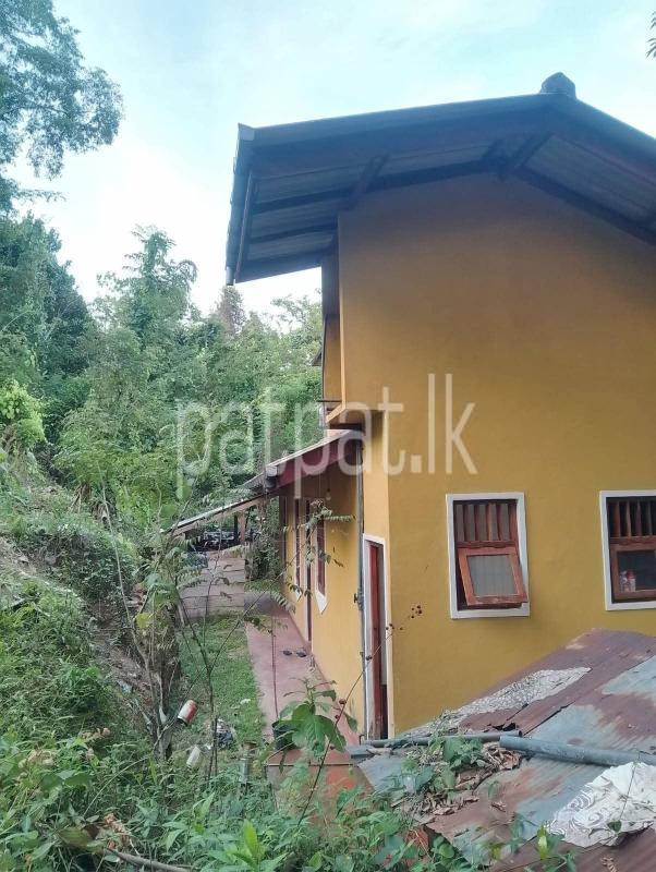 Agricultural Land for Sale in Beliatta