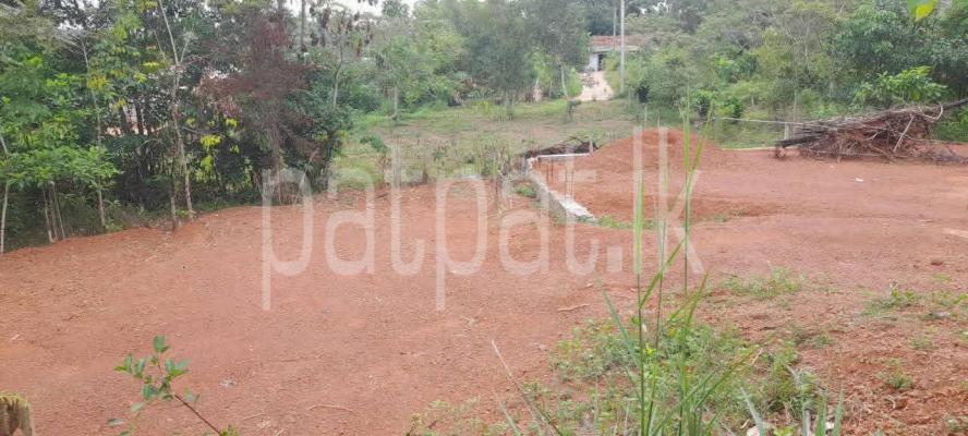 Residential Land for Sale in Minuwangoda