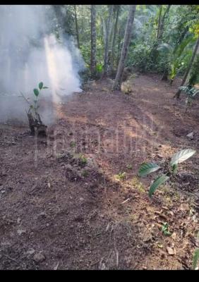 premium-listing-image