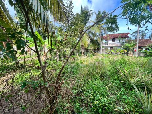 Residential Land for Sale in Minuwangoda