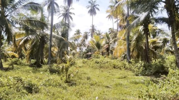 Commercial Land for Sale in Wariyapola