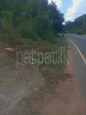 premium-listing-image