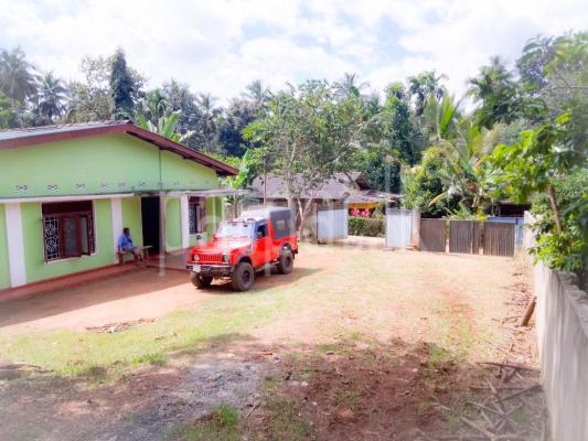 premium-listing-image