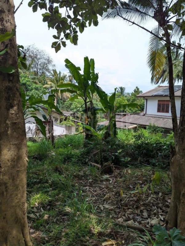 Residential Land for Sale in Nittambuwa