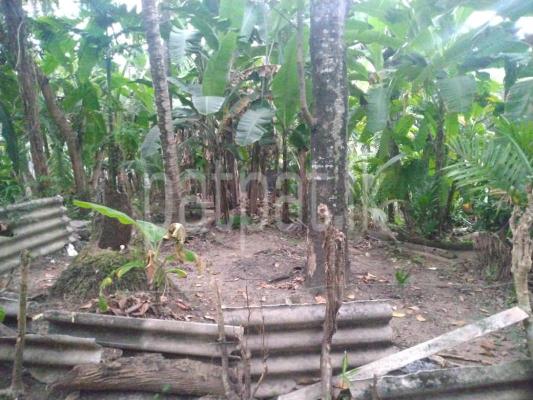 Residential Land for Sale in Kelaniya