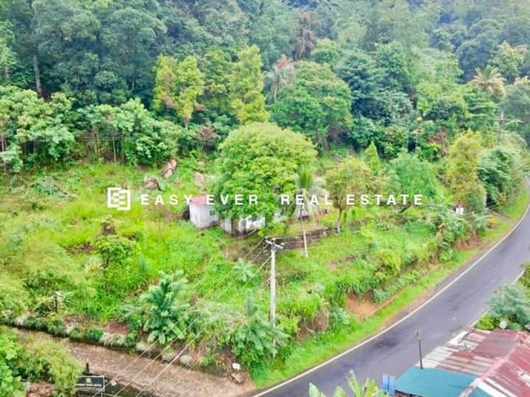 Commercial Land for Sale in Hatton