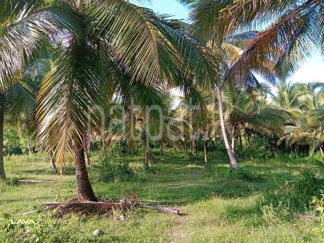 Agricultural Land for Sale in Maho