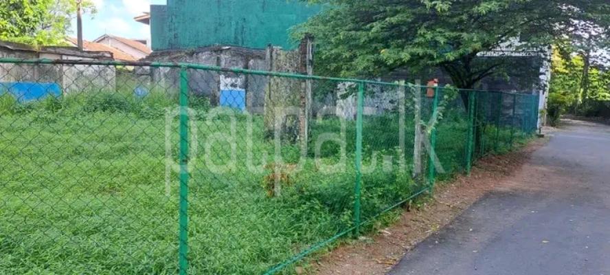 premium-listing-image