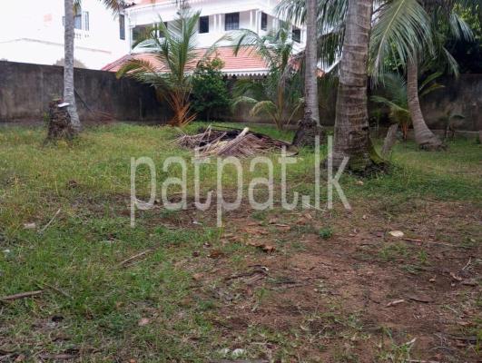 premium-listing-image