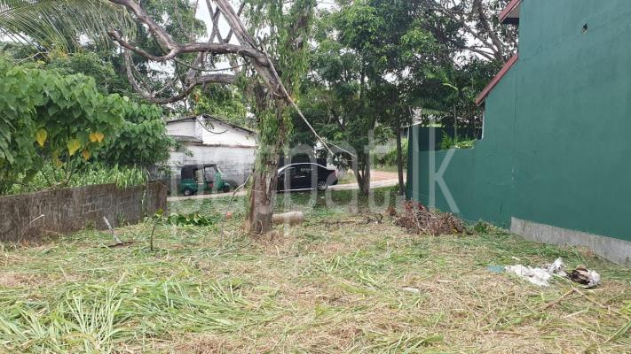 premium-listing-image