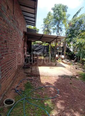 premium-listing-image