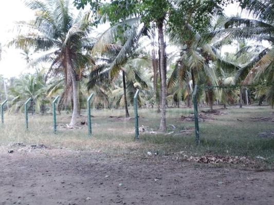Agricultural Land for Sale in Nattandiya