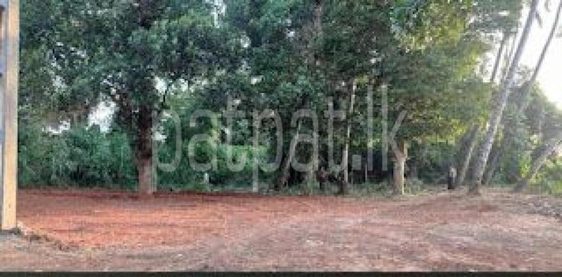 premium-listing-image