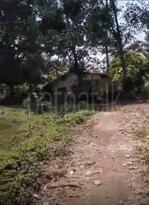 Agricultural Land for Sale in Avissawella