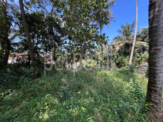 Residential Land for Sale in Ja-Ela