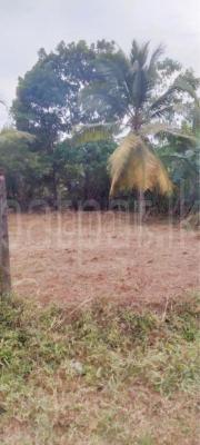 premium-listing-image