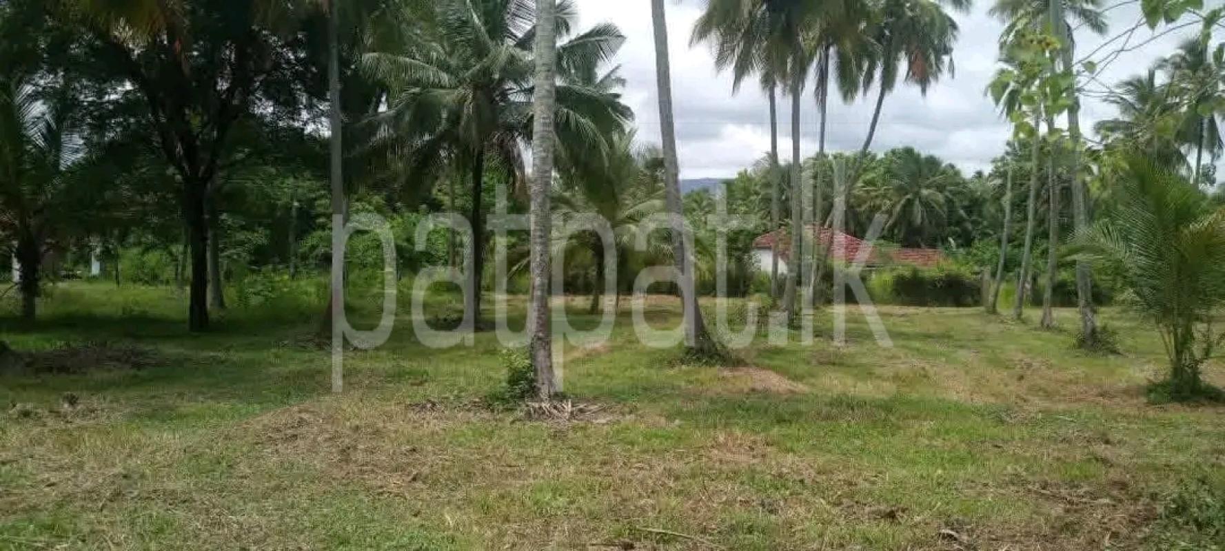 Agricultural Land for Sale in Maho