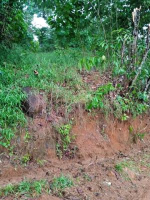 Commercial Land for Sale in Pasyala